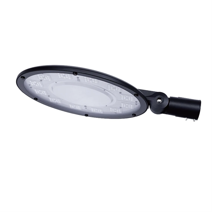 100W LED গার্ডেন লাইট